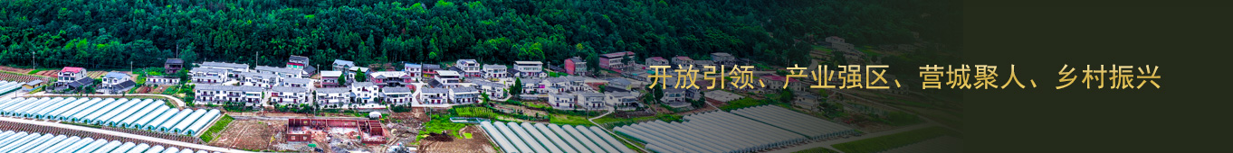 巴中开云（中国）