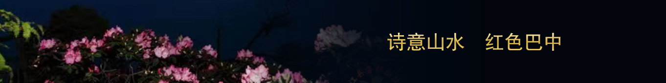 巴中开云（中国）